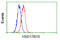 Hydroxysteroid 17-Beta Dehydrogenase 10 antibody, GTX84344, GeneTex, Flow Cytometry image 