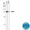 Paxillin antibody, AF4259, R&D Systems, Western Blot image 