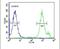 Solute Carrier Family 9 Member A9 antibody, PA5-25327, Invitrogen Antibodies, Flow Cytometry image 