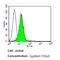 CD99 Molecule (Xg Blood Group) antibody, MA5-12954, Invitrogen Antibodies, Flow Cytometry image 