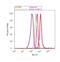 Lysine Demethylase 1A antibody, 41-3300, Invitrogen Antibodies, Flow Cytometry image 