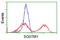 Sequestosome 1 antibody, LS-C172511, Lifespan Biosciences, Flow Cytometry image 