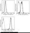 EPH Receptor B4 antibody, 10235-MM04-F, Sino Biological, Flow Cytometry image 