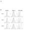 GLI Family Zinc Finger 3 antibody, NBP2-29627, Novus Biologicals, Flow Cytometry image 