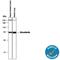 Mesothelin antibody, MAB32653, R&D Systems, Western Blot image 