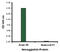 Influenza A HA antibody, LS-C53483, Lifespan Biosciences, Enzyme Linked Immunosorbent Assay image 