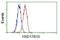 Hydroxysteroid 17-Beta Dehydrogenase 10 antibody, NBP2-02118, Novus Biologicals, Flow Cytometry image 