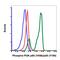 Phosphoinositide-3-Kinase Regulatory Subunit 1 antibody, MA5-28028, Invitrogen Antibodies, Flow Cytometry image 