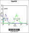 YME1 Like 1 ATPase antibody, 61-697, ProSci, Immunofluorescence image 