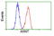 Aryl Hydrocarbon Receptor Nuclear Translocator antibody, LS-C115185, Lifespan Biosciences, Flow Cytometry image 