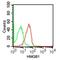 High Mobility Group Box 1 antibody, NBP2-27401, Novus Biologicals, Flow Cytometry image 