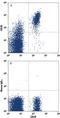 Complement C3b/C4b Receptor 1 (Knops Blood Group) antibody, FAB5748A, R&D Systems, Flow Cytometry image 