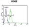 Lysine Demethylase 4C antibody, abx026266, Abbexa, Flow Cytometry image 