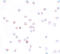 Signal Peptide, CUB Domain And EGF Like Domain Containing 2 antibody, A09179, Boster Biological Technology, Immunocytochemistry image 