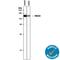 Transforming Acidic Coiled-Coil Containing Protein 3 antibody, AF5720, R&D Systems, Western Blot image 