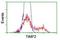 TIMP Metallopeptidase Inhibitor 2 antibody, NBP2-01573, Novus Biologicals, Flow Cytometry image 