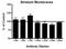 Adrenoceptor Alpha 1B antibody, ADI-905-785-100, Enzo Life Sciences, Enzyme Linked Immunosorbent Assay image 