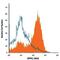 Dipeptidyl Peptidase 4 antibody, MAB9541, R&D Systems, Flow Cytometry image 