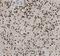 RNA-binding protein 4 antibody, FNab07176, FineTest, Immunohistochemistry paraffin image 