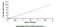 GRB2-related adaptor protein 2 antibody, MBS2025058, MyBioSource, Enzyme Linked Immunosorbent Assay image 