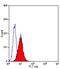 Fas Ligand antibody, GTX42345, GeneTex, Flow Cytometry image 