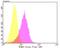 Engulfment And Cell Motility 1 antibody, NBP2-76832, Novus Biologicals, Flow Cytometry image 