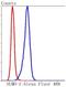 Small Ubiquitin Like Modifier 1 antibody, NBP2-67419, Novus Biologicals, Flow Cytometry image 