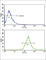 Bone Morphogenetic Protein Receptor Type 1A antibody, abx031357, Abbexa, Western Blot image 