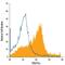 Platelet Derived Growth Factor Receptor Alpha antibody, FAB1264A, R&D Systems, Flow Cytometry image 