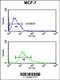 Catenin Alpha 1 antibody, 62-340, ProSci, Flow Cytometry image 