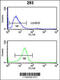 Integrin Subunit Alpha 6 antibody, 63-858, ProSci, Flow Cytometry image 