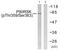 Ribosomal Protein S6 Kinase A1 antibody, LS-C199395, Lifespan Biosciences, Western Blot image 