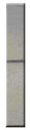 Calbindin 2 antibody, GTX14689, GeneTex, Western Blot image 