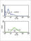 Zinc Finger FYVE-Type Containing 16 antibody, abx032417, Abbexa, Western Blot image 