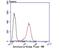 Involucrin antibody, NBP2-75544, Novus Biologicals, Flow Cytometry image 