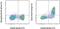 Fc Fragment Of IgE Receptor II antibody, 46-0232-82, Invitrogen Antibodies, Flow Cytometry image 