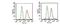 Fibroblast Growth Factor Receptor 1 antibody, NB100-2080, Novus Biologicals, Flow Cytometry image 