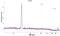 Fc Fragment Of IgA Receptor antibody, NBP1-88102, Novus Biologicals, Western Blot image 