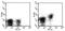 CD28 antibody, 17-0281-82, Invitrogen Antibodies, Flow Cytometry image 