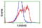 LRAT Domain Containing 2 antibody, LS-C115766, Lifespan Biosciences, Flow Cytometry image 