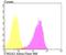 Cyclic Nucleotide Gated Channel Alpha 2 antibody, NBP2-76924, Novus Biologicals, Flow Cytometry image 