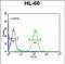 Apolipoprotein L4 antibody, PA5-49586, Invitrogen Antibodies, Flow Cytometry image 