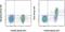 Fc Fragment Of IgE Receptor II antibody, 48-0232-82, Invitrogen Antibodies, Flow Cytometry image 
