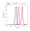 Proteasome activator complex subunit 3 antibody, 38-3800, Invitrogen Antibodies, Flow Cytometry image 