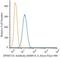 DNA Methyltransferase 3 Alpha antibody, GTX13887, GeneTex, Flow Cytometry image 