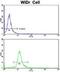 DEAD-Box Helicase 53 antibody, GTX81413, GeneTex, Flow Cytometry image 