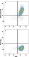 Solute Carrier Family 12 Member 2 antibody, MAB8528, R&D Systems, Flow Cytometry image 