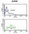 Phospholamban antibody, LS-C163770, Lifespan Biosciences, Flow Cytometry image 