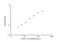 Hexokinase 1 antibody, NBP2-82213, Novus Biologicals, Enzyme Linked Immunosorbent Assay image 