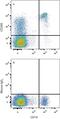 CD200 Molecule antibody, FAB27241A, R&D Systems, Flow Cytometry image 